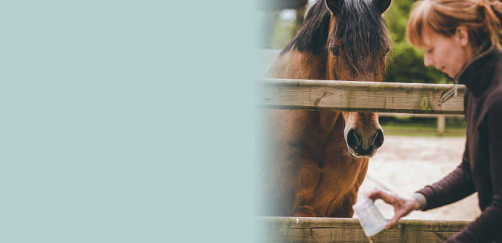 NABE spezialitaeten Banner 2886x1290